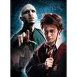 Carregar imagem no visualizador da galeria, Harry Potter - 500 Peças