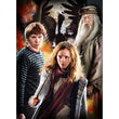 Carregar imagem no visualizador da galeria, Harry Potter - 1000 Peças