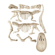 Carregar imagem no visualizador da galeria, Tiranossauro Rex - Arqueologia