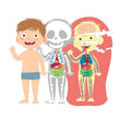 Carregar imagem no visualizador da galeria, O Corpo Humano