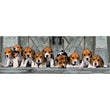 Carregar imagem no visualizador da galeria, Beagles - 1000 Peças
