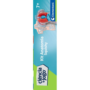 Kit Anatomia Squishy