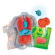 Carregar imagem no visualizador da galeria, Kit Anatomia Squishy
