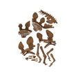 Carregar imagem no visualizador da galeria, Kit de Arqueologia - Estegossauro
