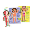 Carregar imagem no visualizador da galeria, Montessori - O Corpo Humano
