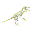 Carregar imagem no visualizador da galeria, Kit Arqueologia - Velociraptor
