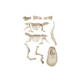 Carregar imagem no visualizador da galeria, Kit Arqueologia - Tiranossauro Rex
